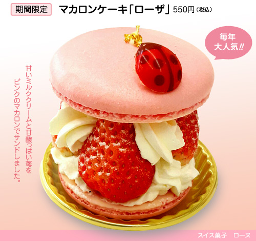 マカロンケーキ「ローザ」